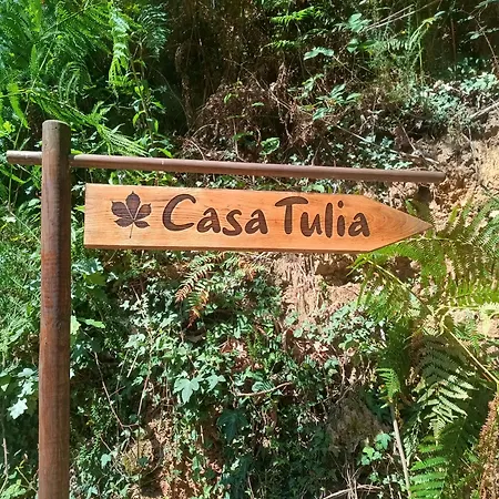 Tulia Grado