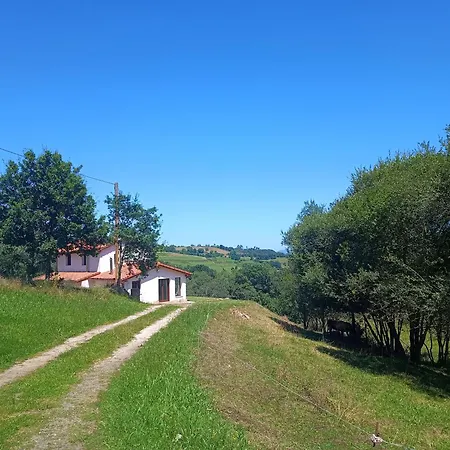Tulia * Grado
